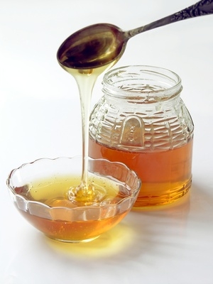 Honey Mole Removal