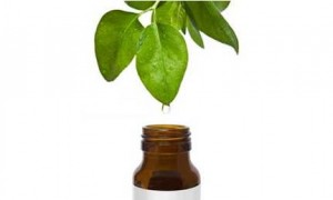 Tea Tree Mole Removal